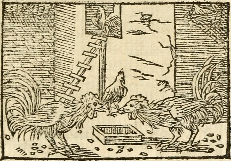 An illustration from Aesopi Phrigis Et Aliorvm Fabvlae. : Elegantissimis Iconibus illustratæ, & diligentius quàm antehac emendatæ, 1554, leaf 248