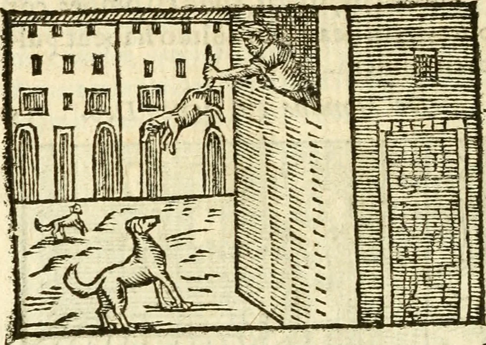 An illustration from Aesopi Phrigis Et Aliorvm Fabvlae. : Elegantissimis Iconibus illustratæ, & diligentius quàm antehac emendatæ, 1554, leaf 251