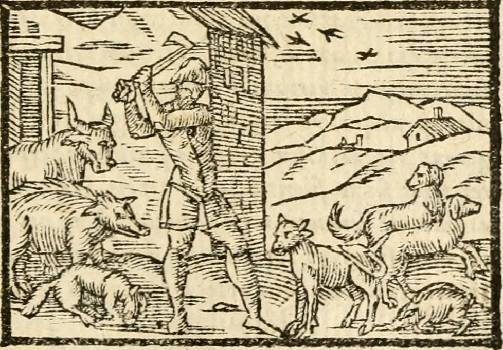 An illustration from Aesopi Phrigis Et Aliorvm Fabvlae. : Elegantissimis Iconibus illustratæ, & diligentius quàm antehac emendatæ, 1554, leaf 260