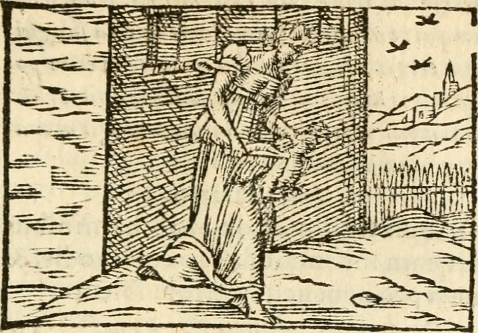 An illustration from Aesopi Phrigis Et Aliorvm Fabvlae. : Elegantissimis Iconibus illustratæ, & diligentius quàm antehac emendatæ, 1554, leaf 262