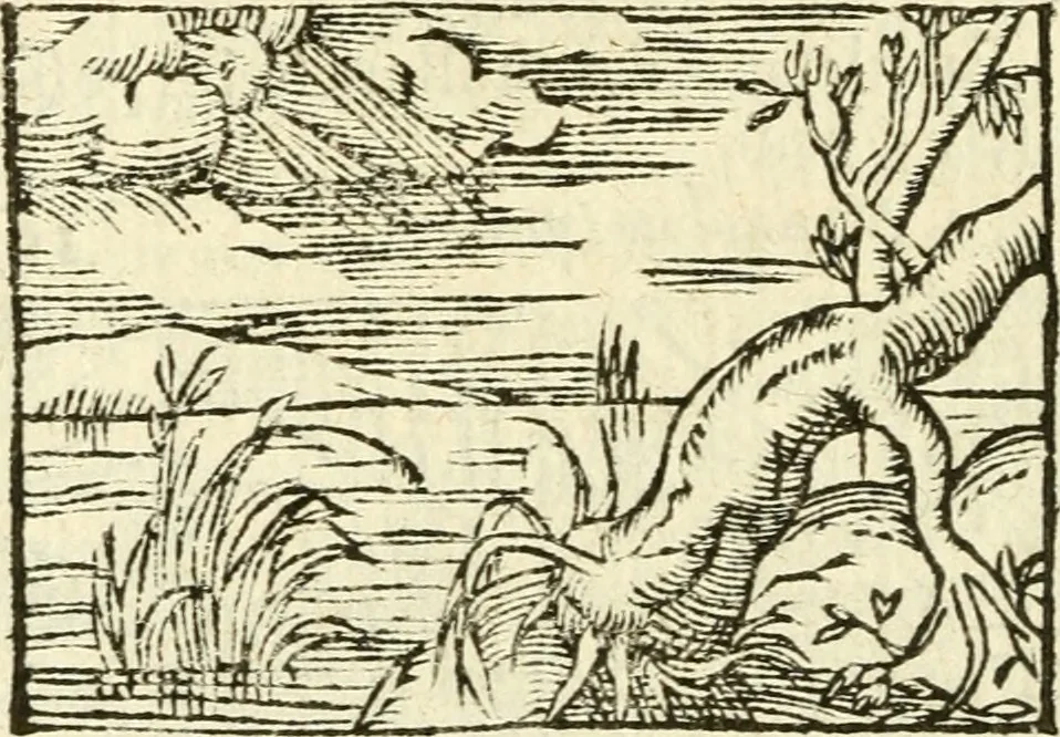 An illustration from Aesopi Phrigis Et Aliorvm Fabvlae. : Elegantissimis Iconibus illustratæ, & diligentius quàm antehac emendatæ, 1554, leaf 265