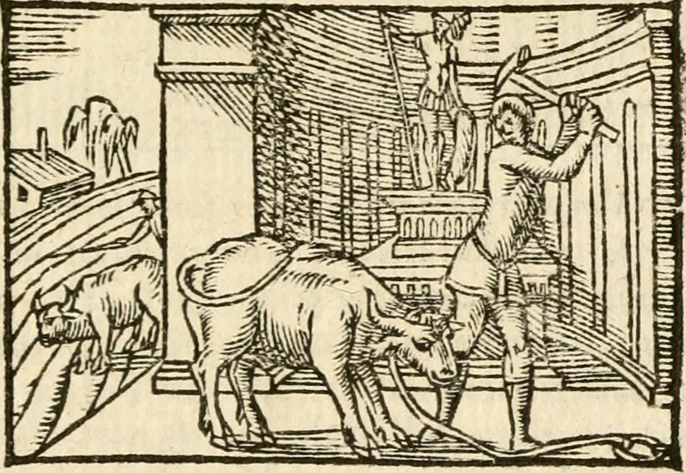 An illustration from Aesopi Phrigis Et Aliorvm Fabvlae. : Elegantissimis Iconibus illustratæ, & diligentius quàm antehac emendatæ, 1554, leaf 266