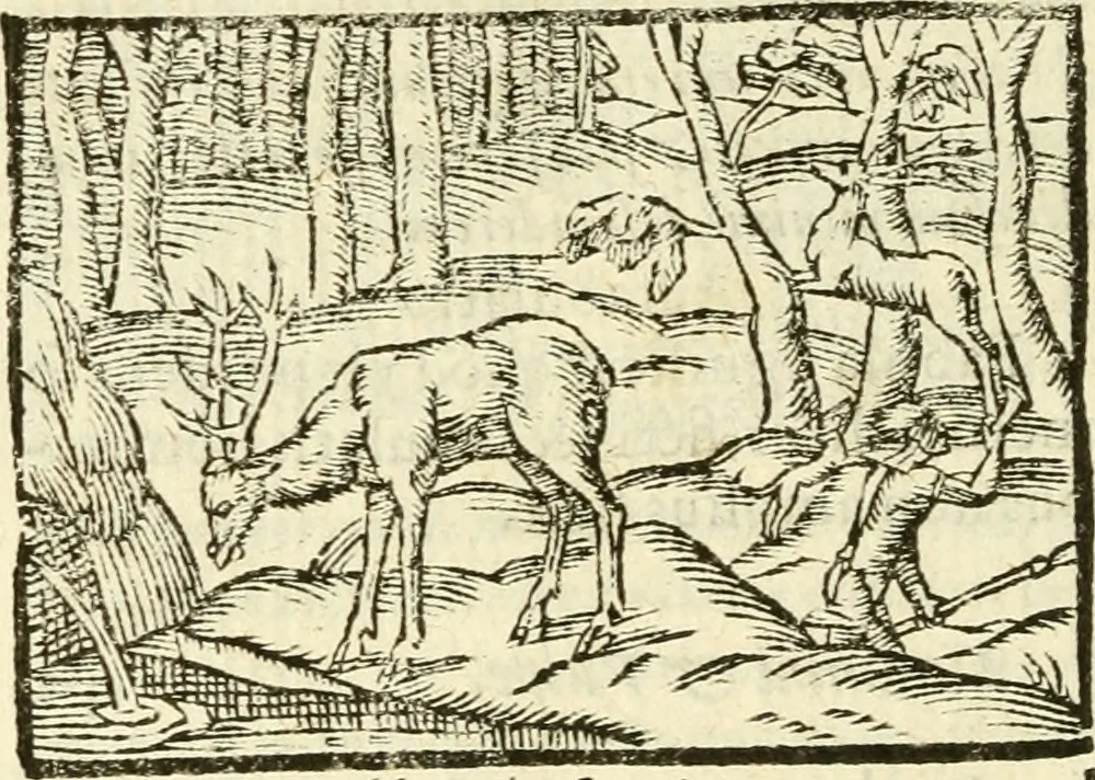 An illustration from Aesopi Phrigis Et Aliorvm Fabvlae. : Elegantissimis Iconibus illustratæ, & diligentius quàm antehac emendatæ, 1554, leaf 269