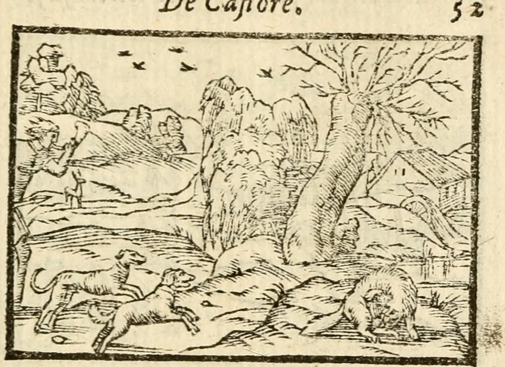 An illustration from Aesopi Phrigis Et Aliorvm Fabvlae. : Elegantissimis Iconibus illustratæ, & diligentius quàm antehac emendatæ, 1554, leaf 276
