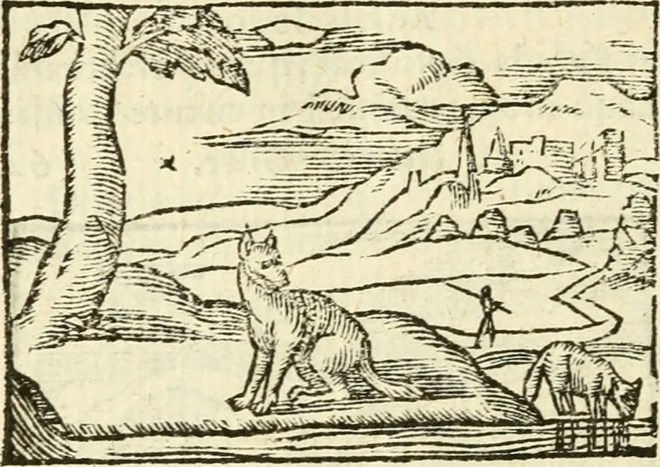 An illustration from Aesopi Phrigis Et Aliorvm Fabvlae. : Elegantissimis Iconibus illustratæ, & diligentius quàm antehac emendatæ, 1554, leaf 285