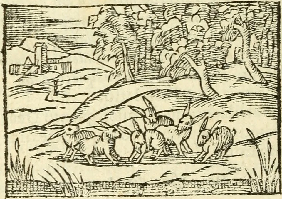 An illustration from Aesopi Phrigis Et Aliorvm Fabvlae. : Elegantissimis Iconibus illustratæ, & diligentius quàm antehac emendatæ, 1554, leaf 293