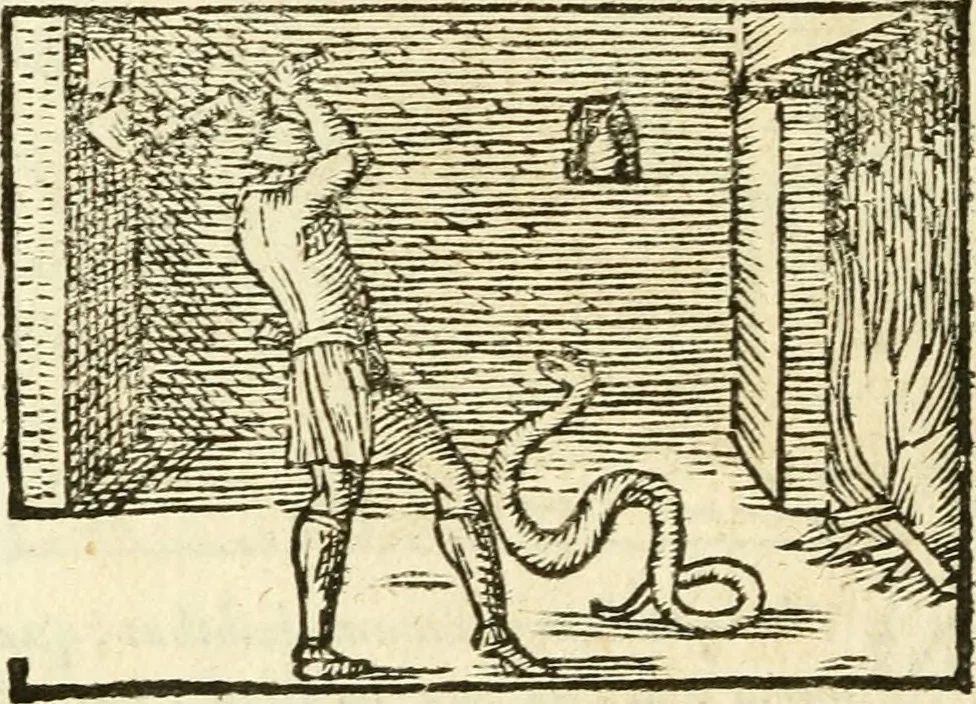 An illustration from Aesopi Phrigis Et Aliorvm Fabvlae. : Elegantissimis Iconibus illustratæ, & diligentius quàm antehac emendatæ, 1554, leaf 297