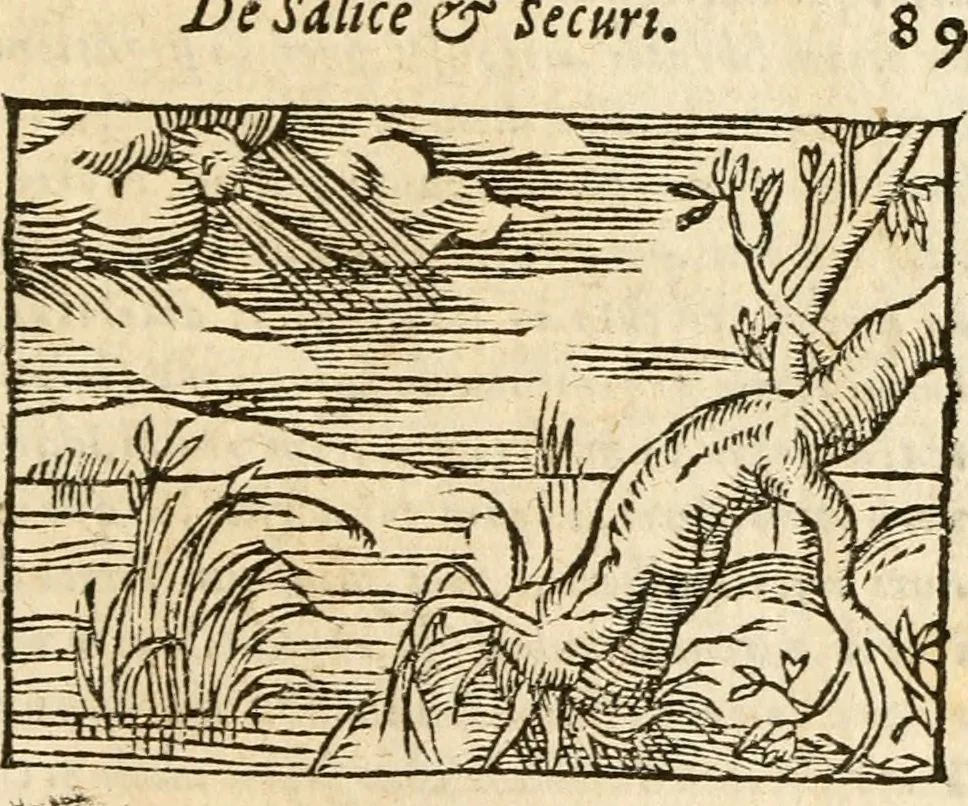 An illustration from Aesopi Phrigis Et Aliorvm Fabvlae. : Elegantissimis Iconibus illustratæ, & diligentius quàm antehac emendatæ, 1554, leaf 302