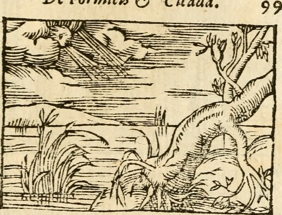 An illustration from Aesopi Phrigis Et Aliorvm Fabvlae. : Elegantissimis Iconibus illustratæ, & diligentius quàm antehac emendatæ, 1554, leaf 308