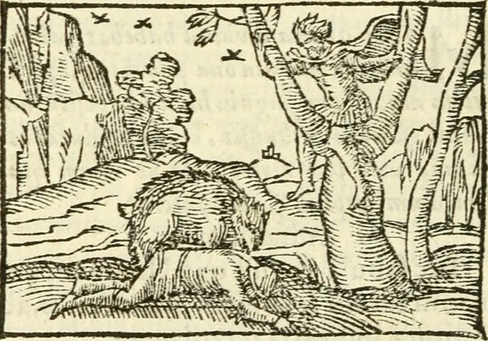 An illustration from Aesopi Phrigis Et Aliorvm Fabvlae. : Elegantissimis Iconibus illustratæ, & diligentius quàm antehac emendatæ, 1554, leaf 69
