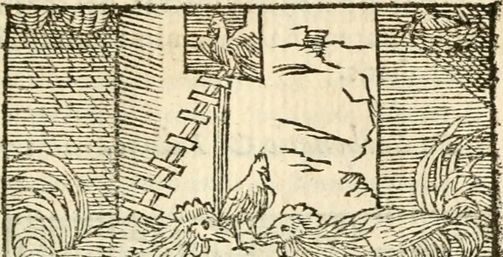 An illustration from Aesopi Phrigis Et Aliorvm Fabvlae. : Elegantissimis Iconibus illustratæ, & diligentius quàm antehac emendatæ, 1554, leaf 76