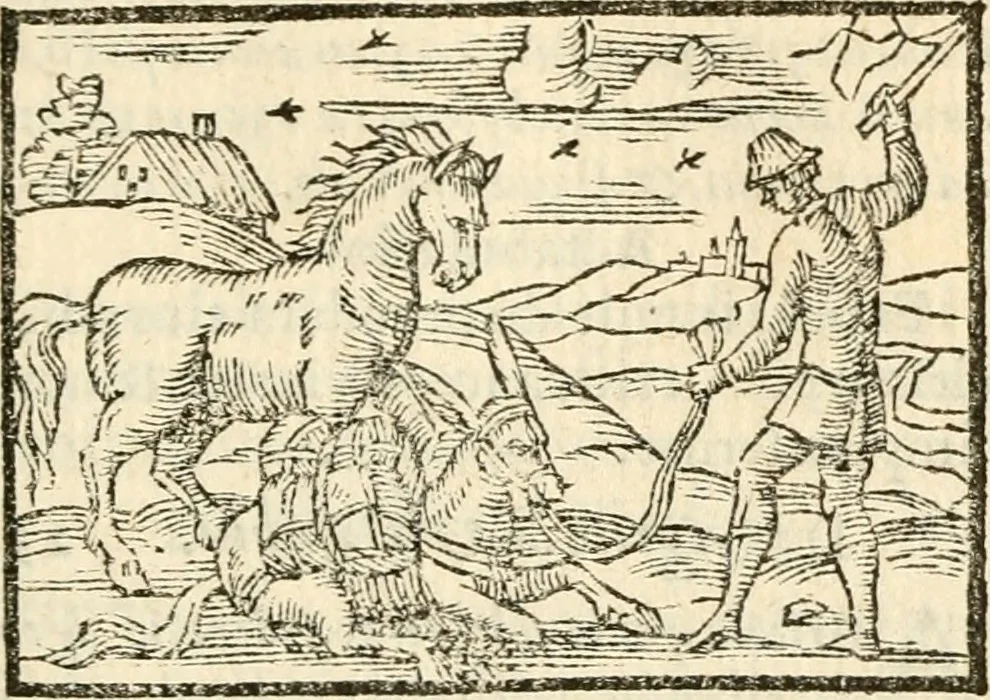 An illustration from Aesopi Phrigis Et Aliorvm Fabvlae. : Elegantissimis Iconibus illustratæ, & diligentius quàm antehac emendatæ, 1554, leaf 80