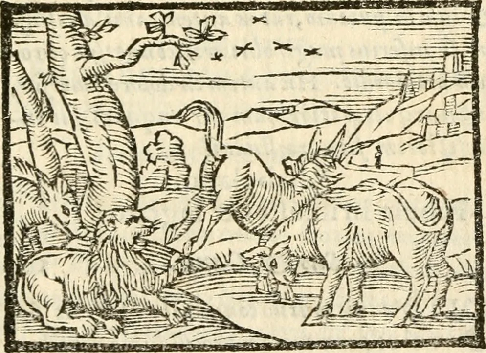 An illustration from Aesopi Phrigis Et Aliorvm Fabvlae. : Elegantissimis Iconibus illustratæ, & diligentius quàm antehac emendatæ, 1554, leaf 96