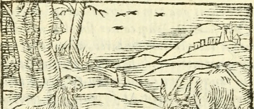 An illustration from Aesopi Phrigis Et Aliorvm Fabvlae. : Elegantissimis Iconibus illustratæ, & diligentius quàm antehac emendatæ, 1554, leaf 99