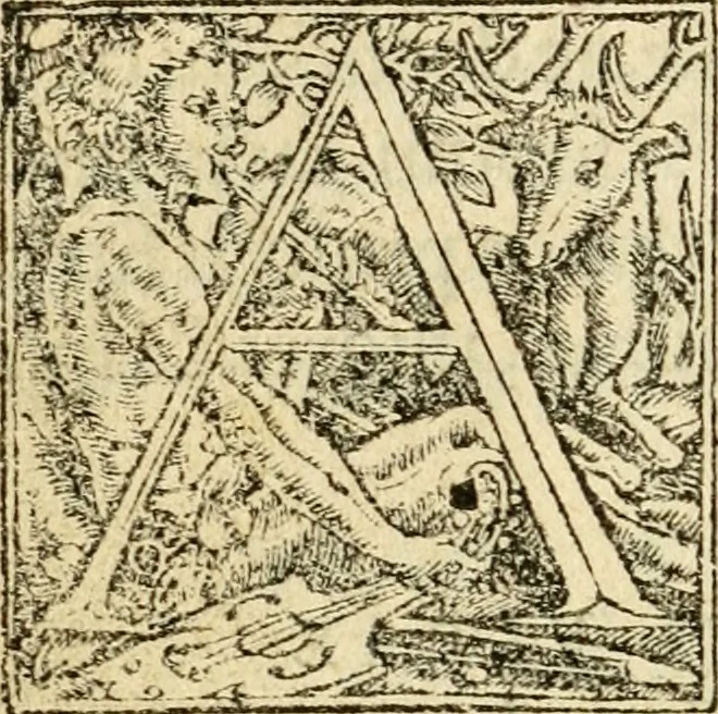 An illustration from Aesopi Phrygis Fabellae Graece et Latine : cum alijs opusculis, quorum index proxima refertur pagella, 1534, leaf 105