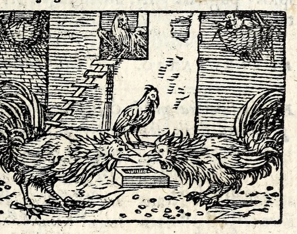 An illustration from Aesopi Phrygis Fabvlae : elegantissimis eiconibus ueras animalium species ad uiuum adumbrantes. Gabriae Graeci Fabellae XXXXIIII. Batrachomyomáchia Homeri, hoc est, Ranarum & murium pugna. Galeōmyomachía, hoc est, Felium & murium pugna, tragoedia graeca : haec omnia cum Latina interpretatione, 1551, leaf 143