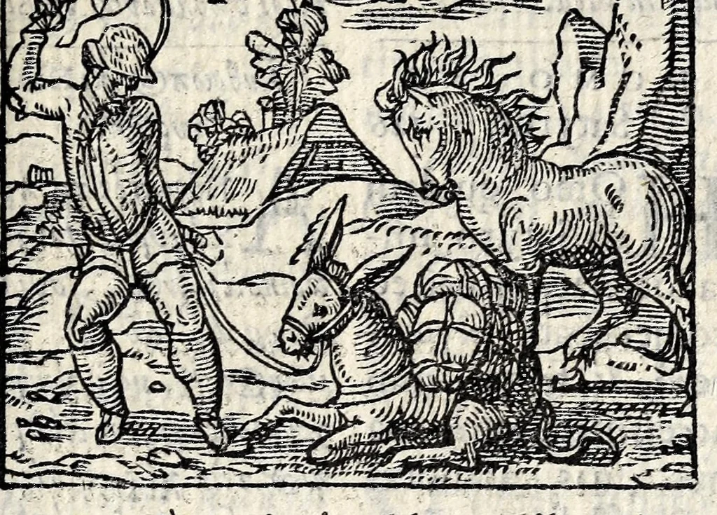 An illustration from Aesopi Phrygis Fabvlae : elegantissimis eiconibus ueras animalium species ad uiuum adumbrantes. Gabriae Graeci Fabellae XXXXIIII. Batrachomyomáchia Homeri, hoc est, Ranarum & murium pugna. Galeōmyomachía, hoc est, Felium & murium pugna, tragoedia graeca : haec omnia cum Latina interpretatione, 1551, leaf 263