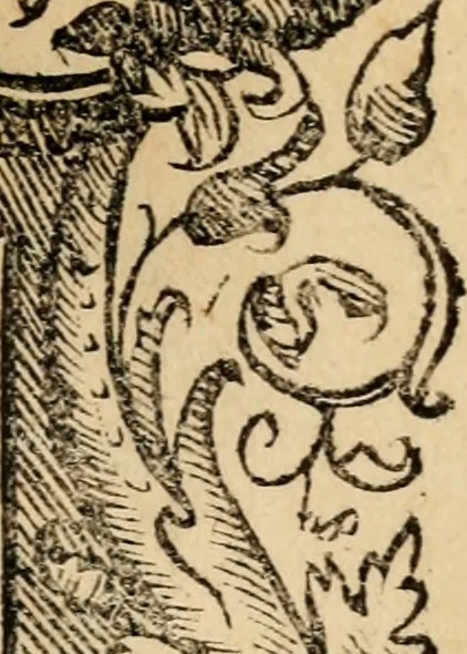 An illustration from Aesopi Phrygis vita et fabellae : cum latina interpretatione. Gabriae Graeci fabellae tres & quadraginta ex trimetris iambis, praeter ultima ex Scazonte, tetrastichis conclusae : cum latina interpretatione. Ex Aphthonii exercitametis de fabula : tum de formicis & cicadis graece & latine. De fabula ex imaginibus Philostrati graece & latine. Ex Hermogensis exercitametis de fabula Prisciano interprete. [Homeri batrachomyomachia, hoc est, Ranarum & murium pugna : Graece & Latine. De Ero & Leandro : Graece & Latine, 1518, leaf 332