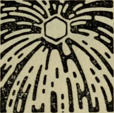 An illustration from Aesthetik des Lichts, 1908, leaf 8