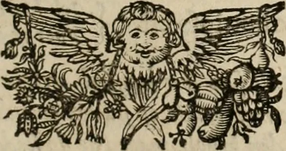 An illustration from Af-Beeldinghe van d'eerste eeuwe der Societeyt Iesu voor ooghen ghestelt door de Duyts-Nederlantsche prouincie der seluer Societeyt, 1640, leaf 396
