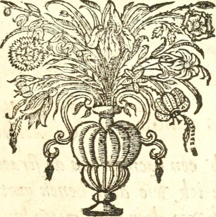 An illustration from Af-beeldinghe van d'eerste eeuwe der Societeyt Iesu : voor ooghen ghestelt door de Duyts-Nederlantsche provincie der selver societeyt, 1640, leaf 268