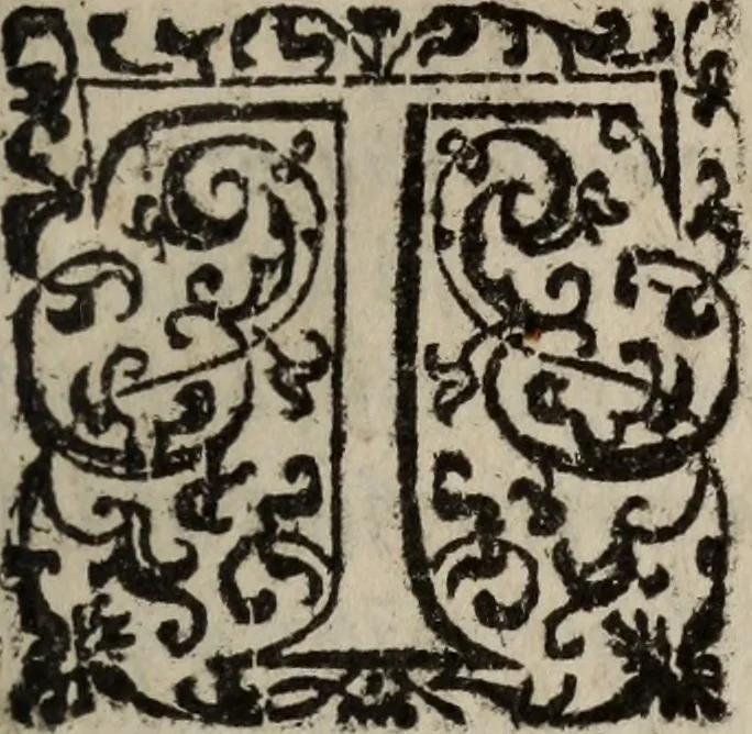 An illustration from Affonso africano : poema heroyco : da presa d'Arzilla & Tanger : dirigido a Dom Alvaro de Sousa, capitÃ£o da guarda alemÃ£a de S. Magestade, &c., 1611, leaf 16