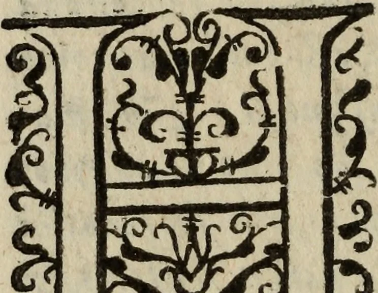 An illustration from Affonso africano : poema heroyco : da presa d'Arzilla & Tanger : dirigido a Dom Alvaro de Sousa, capitÃ£o da guarda alemÃ£a de S. Magestade, &c., 1611, leaf 19