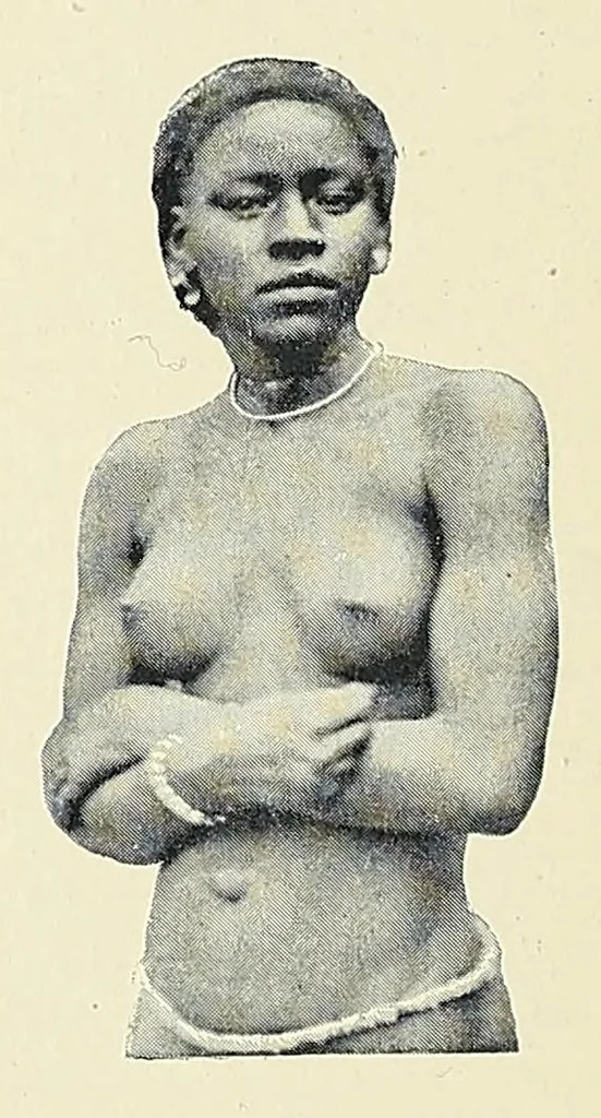 An illustration from Africaines, 1897, leaf 128