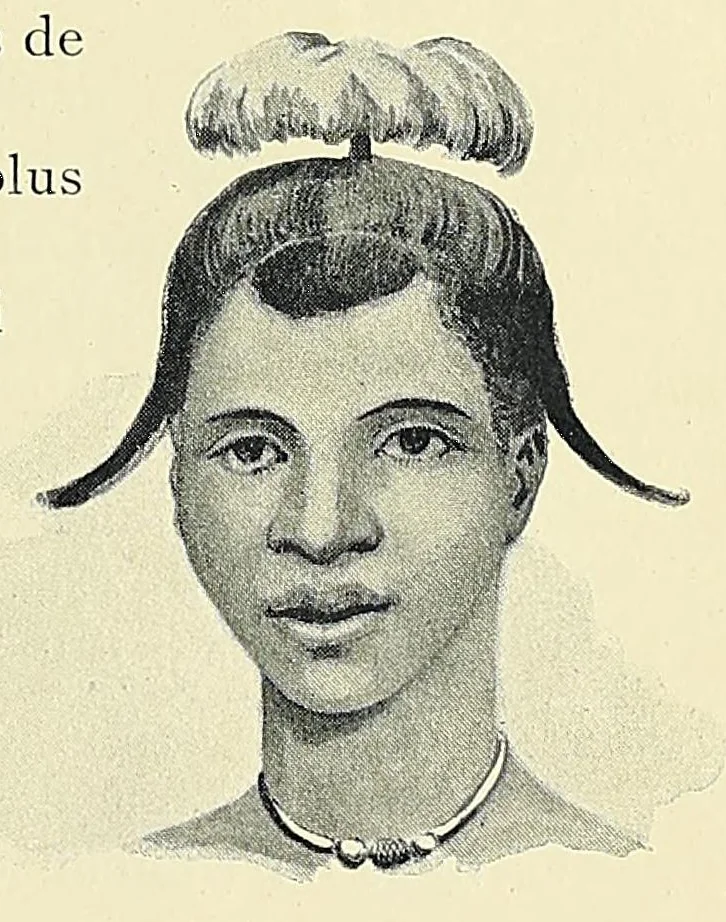 An illustration from Africaines, 1897, leaf 189