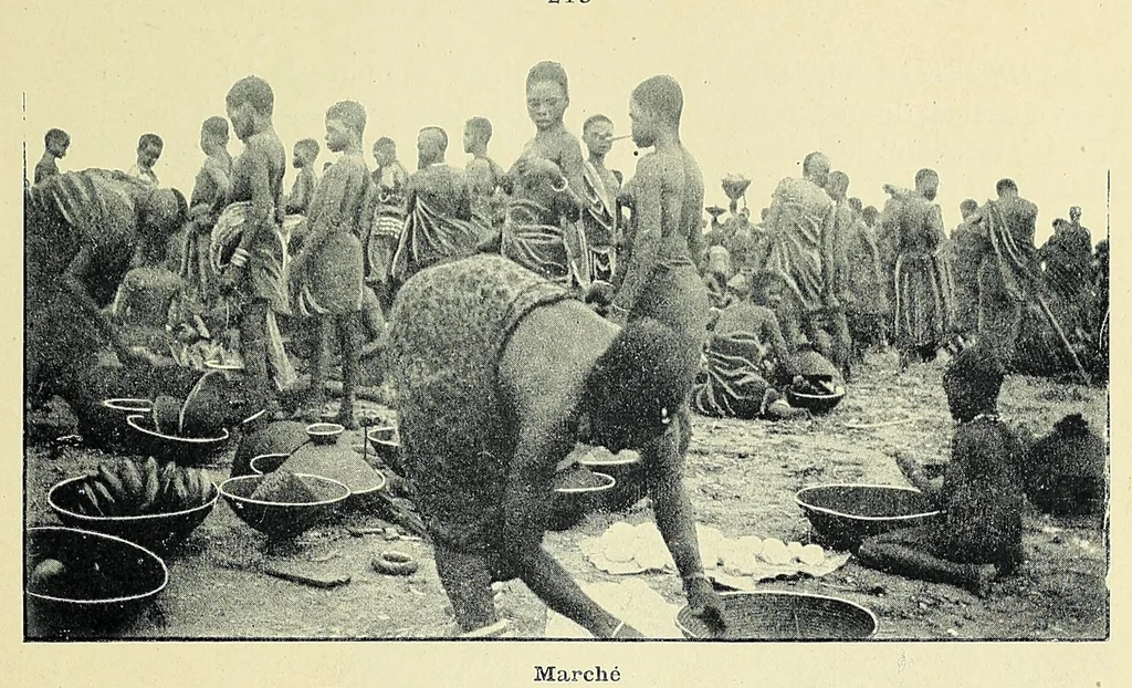 An illustration from Africaines, 1897, leaf 235