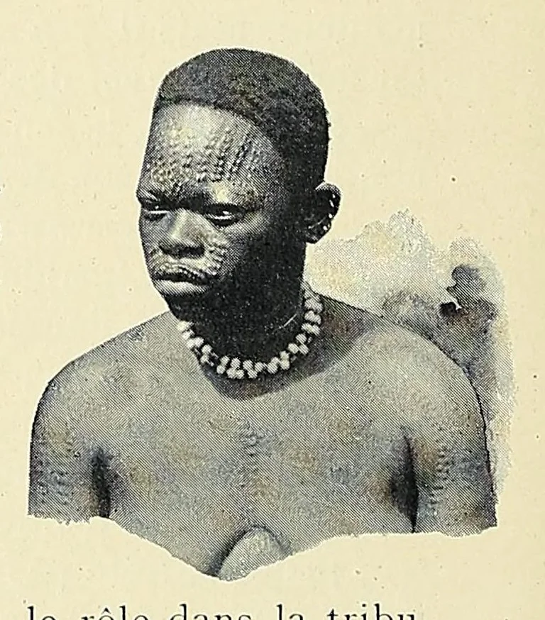 An illustration from Africaines, 1897, leaf 248