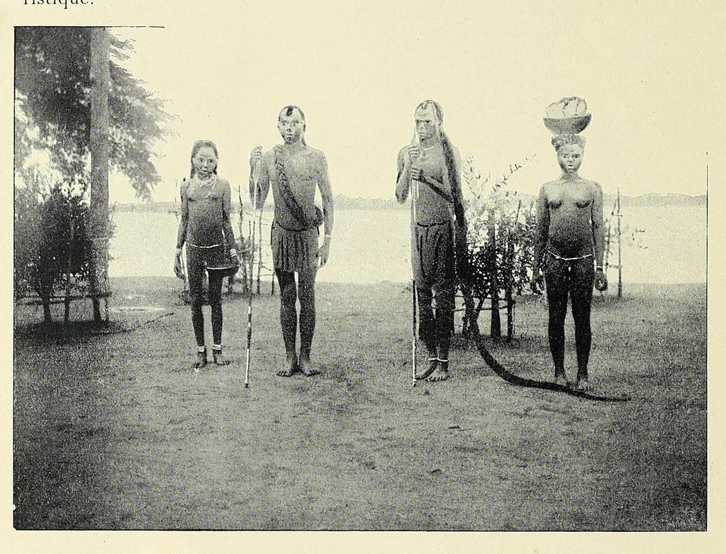 An illustration from Africaines, 1897, leaf 252