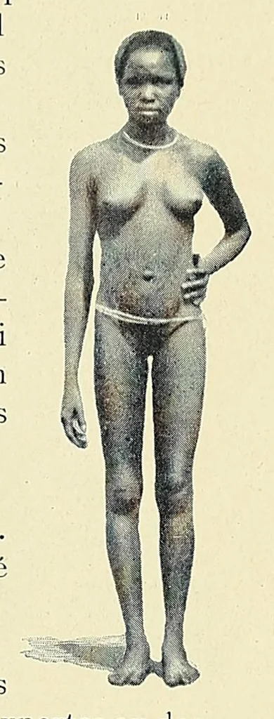 An illustration from Africaines, 1897, leaf 257