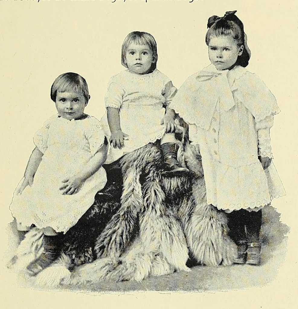 An illustration from Africaines, 1897, leaf 273
