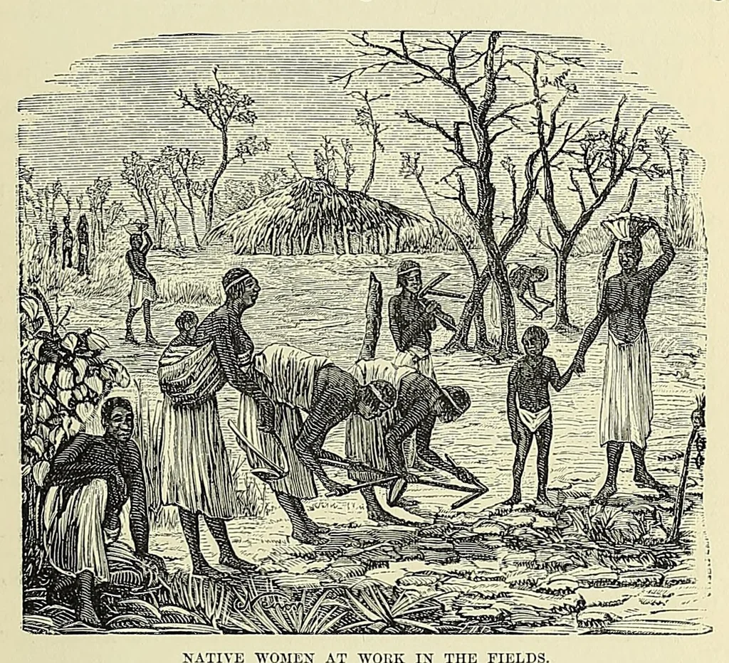 An illustration from Africa and its exploration : as told by its explorers Mungo Park, Clapperton, the Landers, Livingstone, Barth, Barkie, Denham, Burton, Speke, Caillie, Schweinfurth, Mohr, Stanley, Holub, Serpa, Pinto, Farini, Thomson, Montagu Kerr ; with 600 illustrations and maps, leaf 249