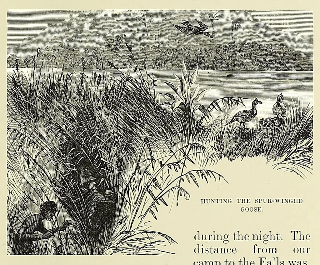 An illustration from Africa and its exploration : as told by its explorers Mungo Park, Clapperton, the Landers, Livingstone, Barth, Barkie, Denham, Burton, Speke, Caillie, Schweinfurth, Mohr, Stanley, Holub, Serpa, Pinto, Farini, Thomson, Montagu Kerr ; with 600 illustrations and maps, leaf 369