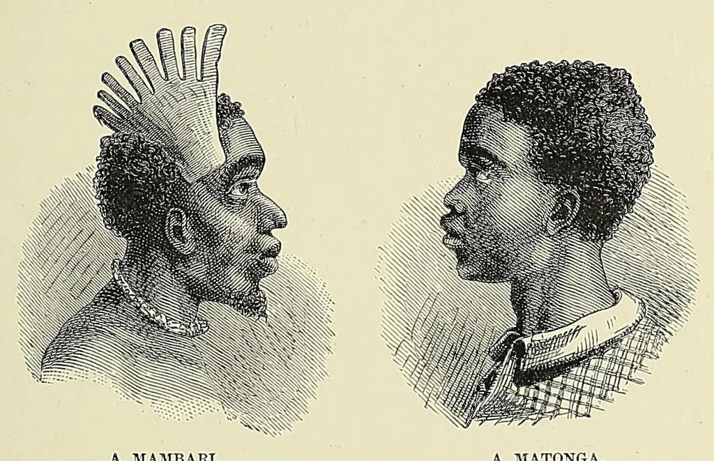 An illustration from Africa and its exploration : as told by its explorers Mungo Park, Clapperton, the Landers, Livingstone, Barth, Barkie, Denham, Burton, Speke, Caillie, Schweinfurth, Mohr, Stanley, Holub, Serpa, Pinto, Farini, Thomson, Montagu Kerr ; with 600 illustrations and maps, leaf 405