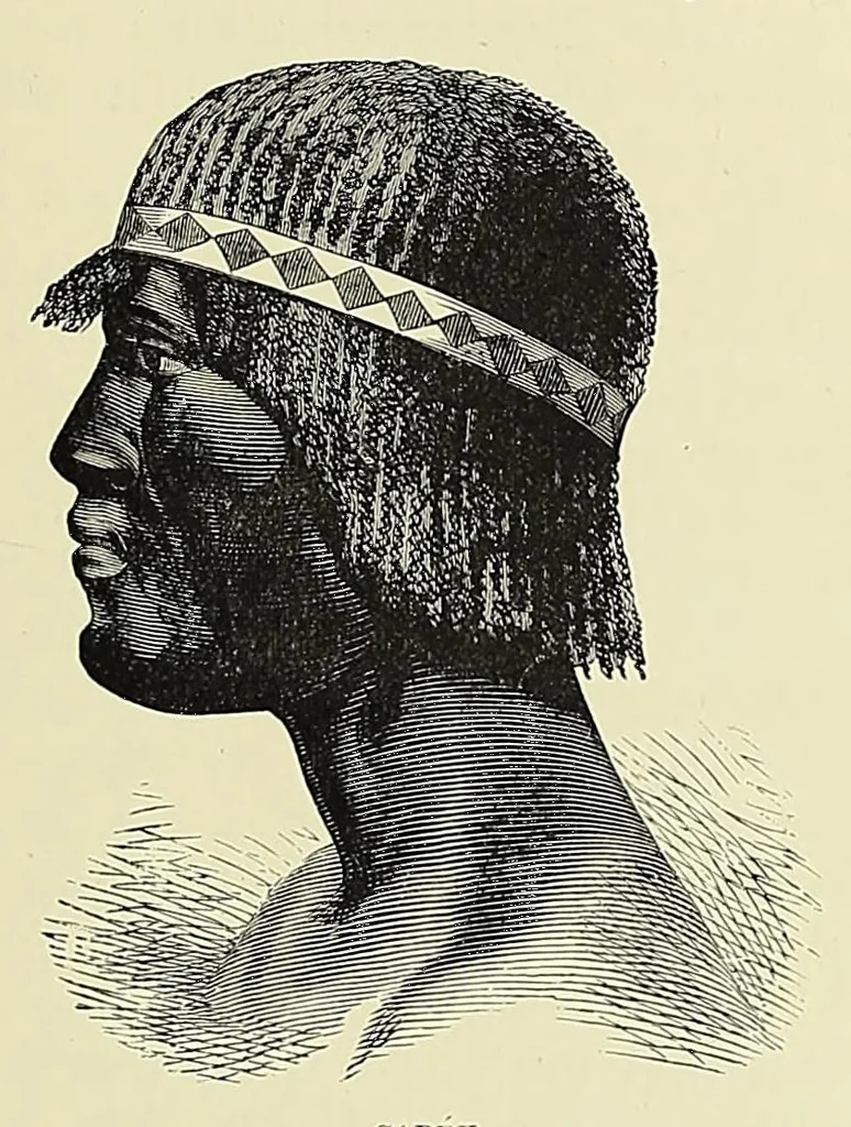 An illustration from Africa and its exploration : as told by its explorers Mungo Park, Clapperton, the Landers, Livingstone, Barth, Barkie, Denham, Burton, Speke, Caillie, Schweinfurth, Mohr, Stanley, Holub, Serpa, Pinto, Farini, Thomson, Montagu Kerr ; with 600 illustrations and maps, leaf 665
