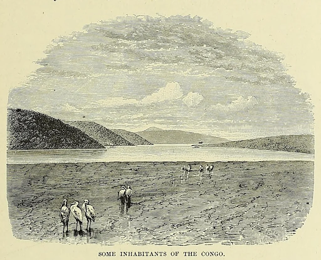 An illustration from Africa and its exploration : as told by its explorers Mungo Park, Clapperton, the Landers, Livingstone, Barth, Barkie, Denham, Burton, Speke, Caillie, Schweinfurth, Mohr, Stanley, Holub, Serpa, Pinto, Farini, Thomson, Montagu Kerr ; with 600 illustrations and maps, leaf 165
