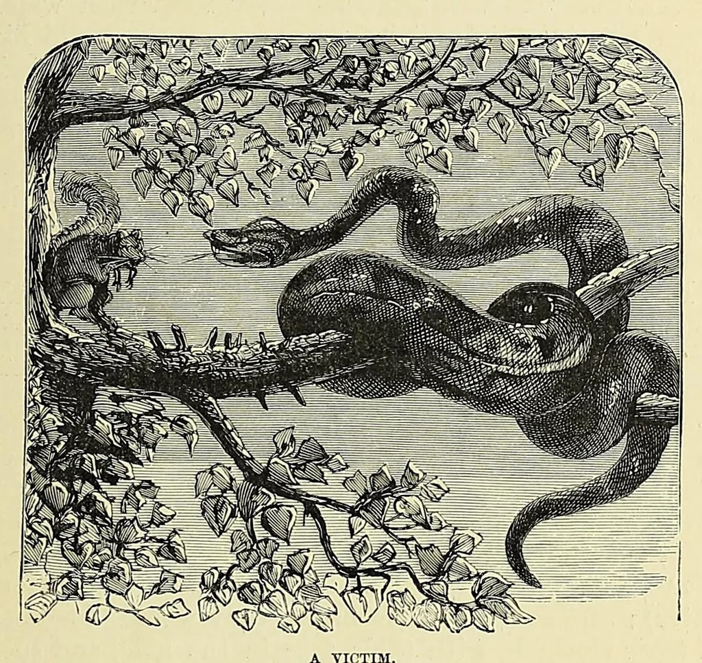 An illustration from Africa and its exploration : as told by its explorers Mungo Park, Clapperton, the Landers, Livingstone, Barth, Barkie, Denham, Burton, Speke, Caillie, Schweinfurth, Mohr, Stanley, Holub, Serpa, Pinto, Farini, Thomson, Montagu Kerr ; with 600 illustrations and maps, leaf 31