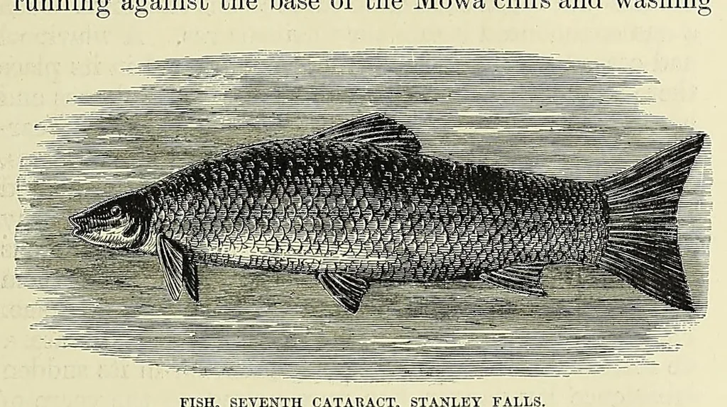 An illustration from Africa and its exploration : as told by its explorers Mungo Park, Clapperton, the Landers, Livingstone, Barth, Barkie, Denham, Burton, Speke, Caillie, Schweinfurth, Mohr, Stanley, Holub, Serpa, Pinto, Farini, Thomson, Montagu Kerr ; with 600 illustrations and maps, leaf 633