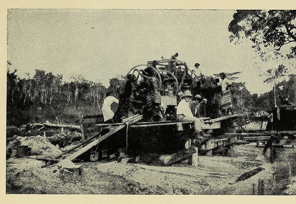 An illustration from An African adventure, 1921, leaf 339