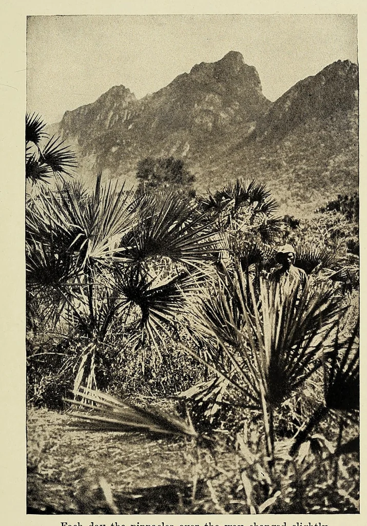 An illustration from African camp fires, 1914, leaf 273