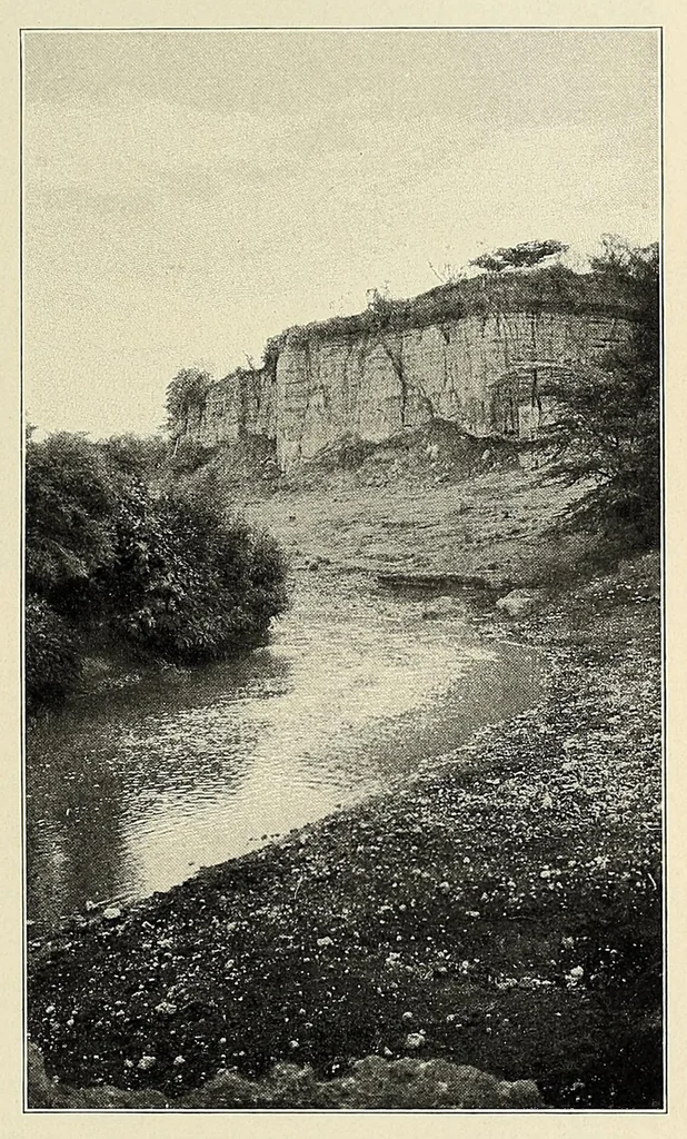 An illustration from African game trails : an account of the African wanderings of an American hunter-naturalist, 1909, leaf 151