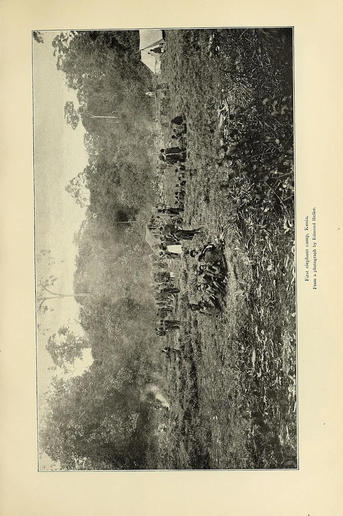 An illustration from African game trails : an account of the African wanderings of an American hunter-naturalist, 1909, leaf 197