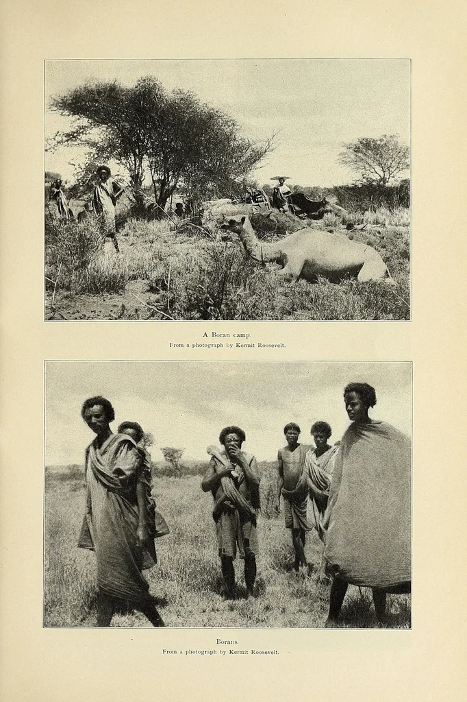 An illustration from African game trails : an account of the African wanderings of an American hunter-naturalist, 1909, leaf 231