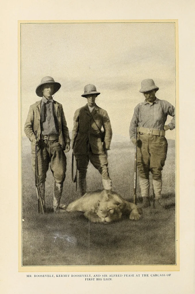 An illustration from African game trails : an account of the African wanderings of an American hunter-naturalist, 1909, leaf 34