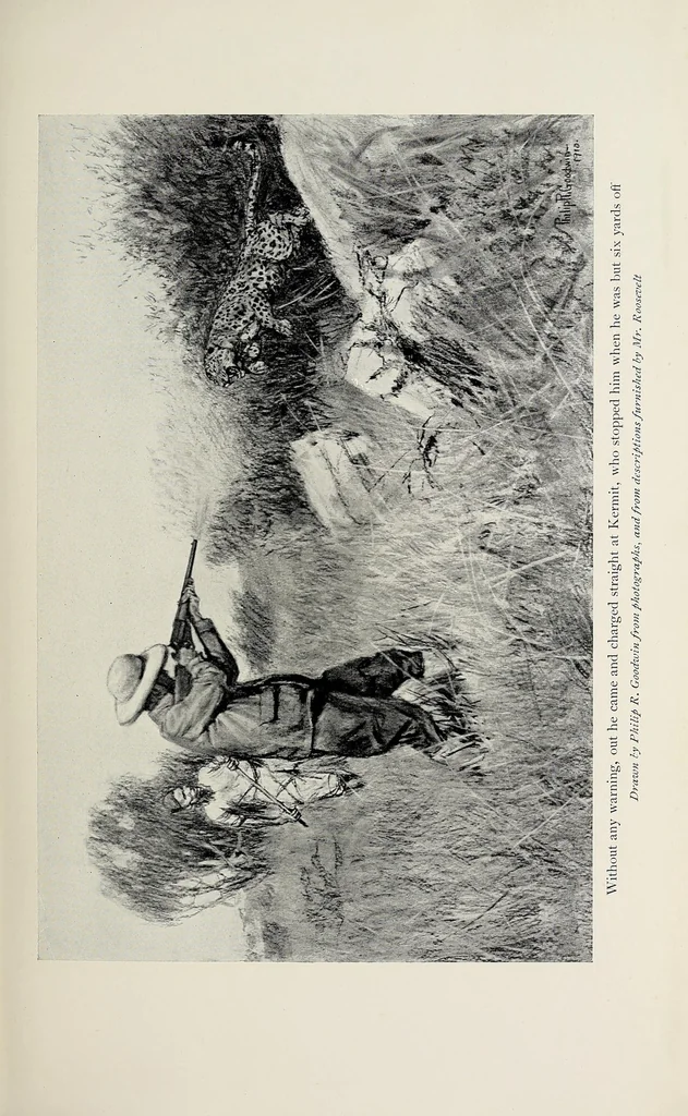 An illustration from African game trails : an account of the African wanderings of an American hunter-naturalist, 1910, leaf 145