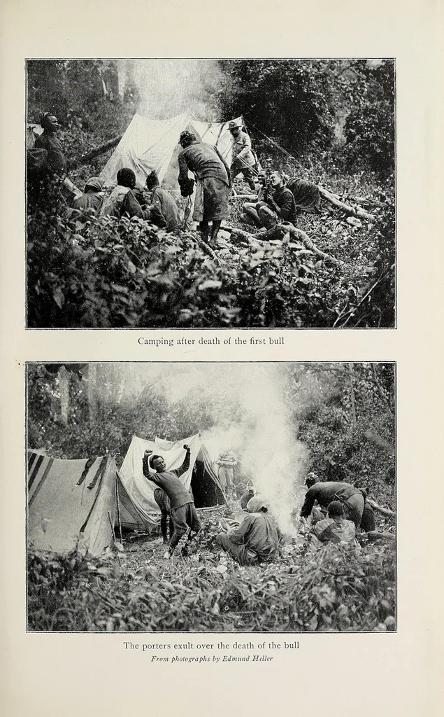 An illustration from African game trails : an account of the African wanderings of an American hunter-naturalist, 1910, leaf 307