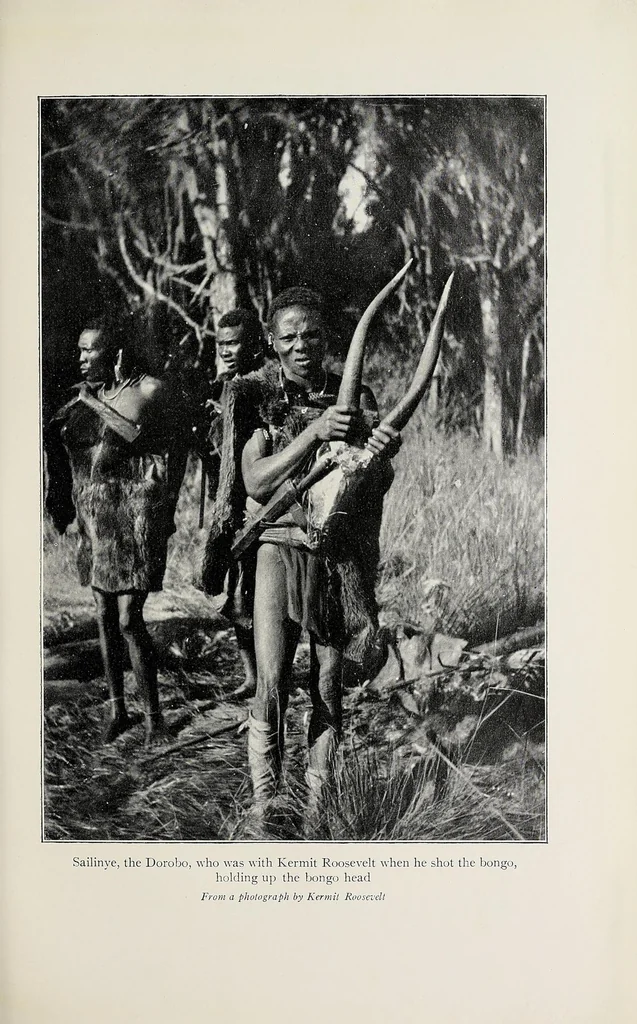 An illustration from African game trails : an account of the African wanderings of an American hunter-naturalist, 1910, leaf 465